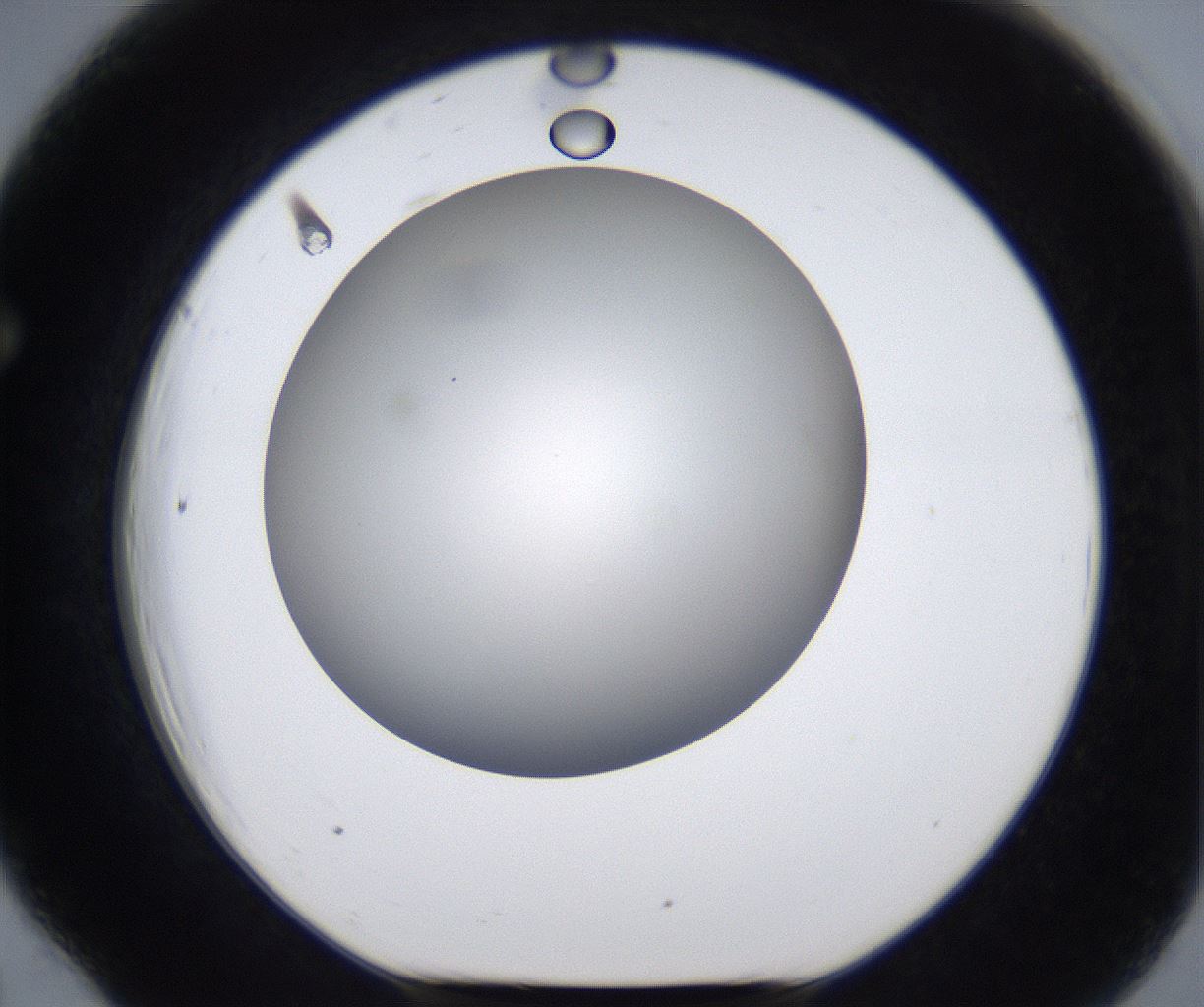 folderID283_plateID2283_batchID10811_wellNum66_profileID1_d1_r159663_ef.jpg