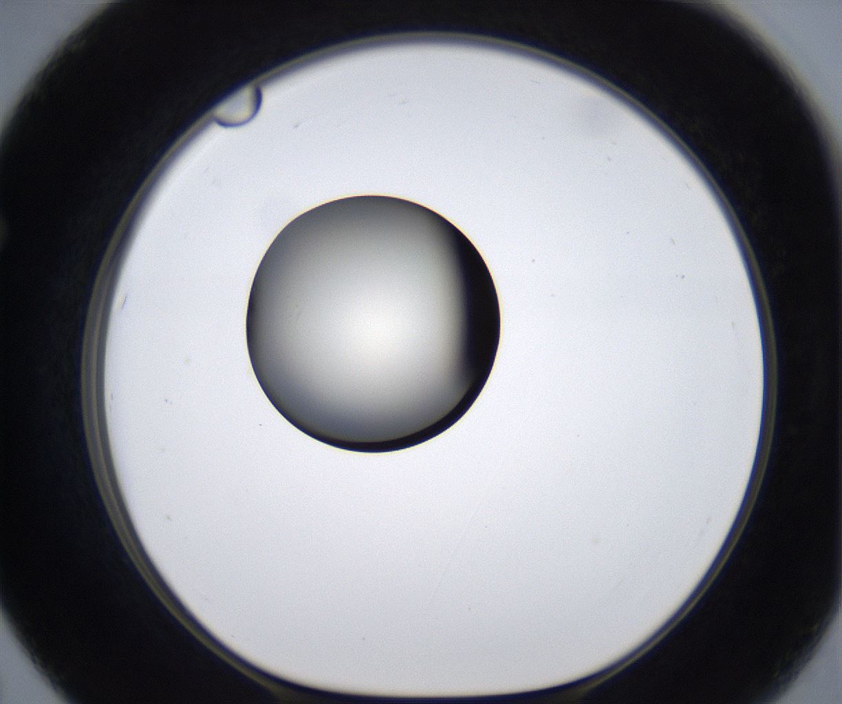 folderID283_plateID2283_batchID10811_wellNum67_profileID1_d1_r159664_ef.jpg
