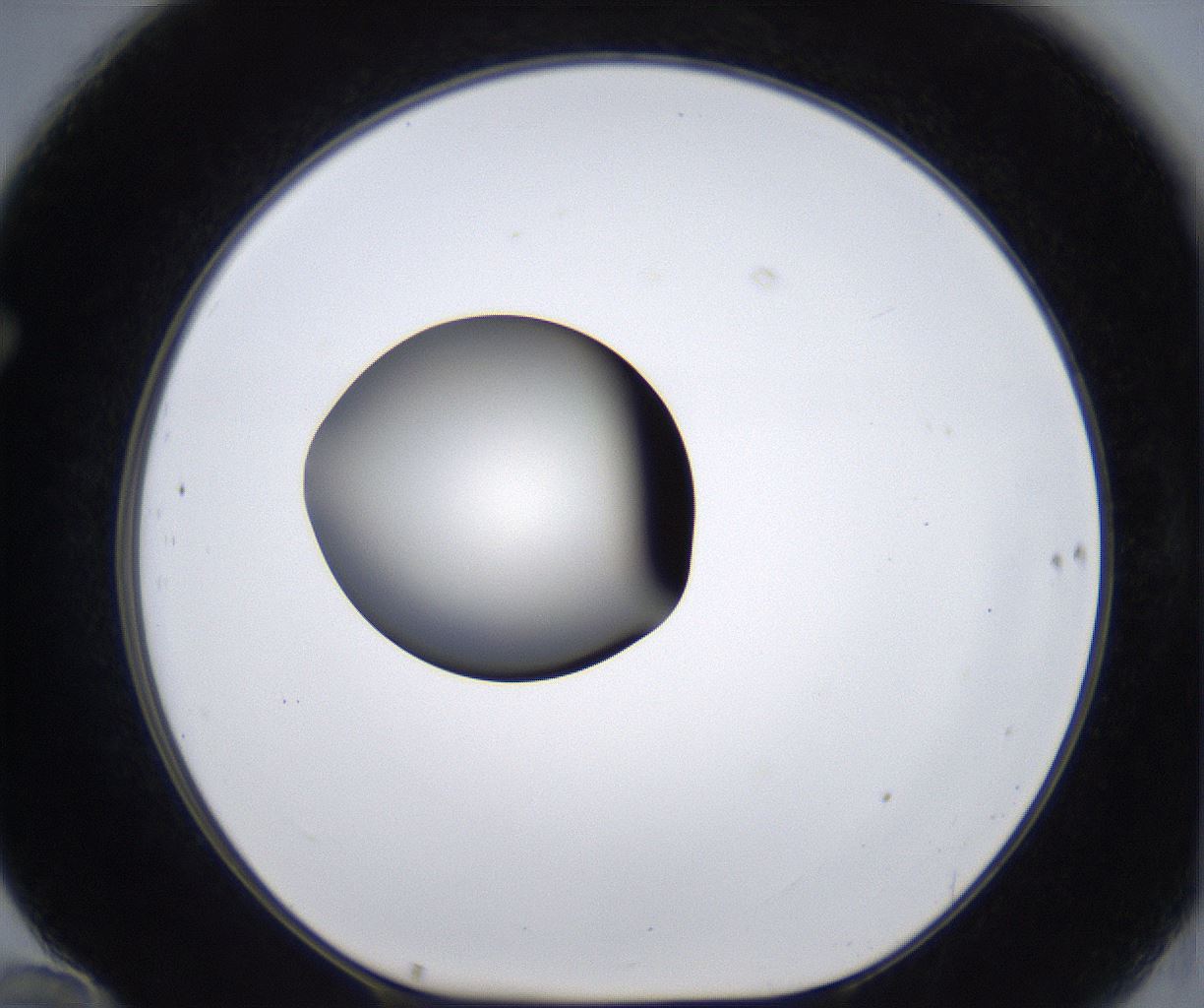 folderID283_plateID2283_batchID10811_wellNum70_profileID1_d1_r159667_ef.jpg