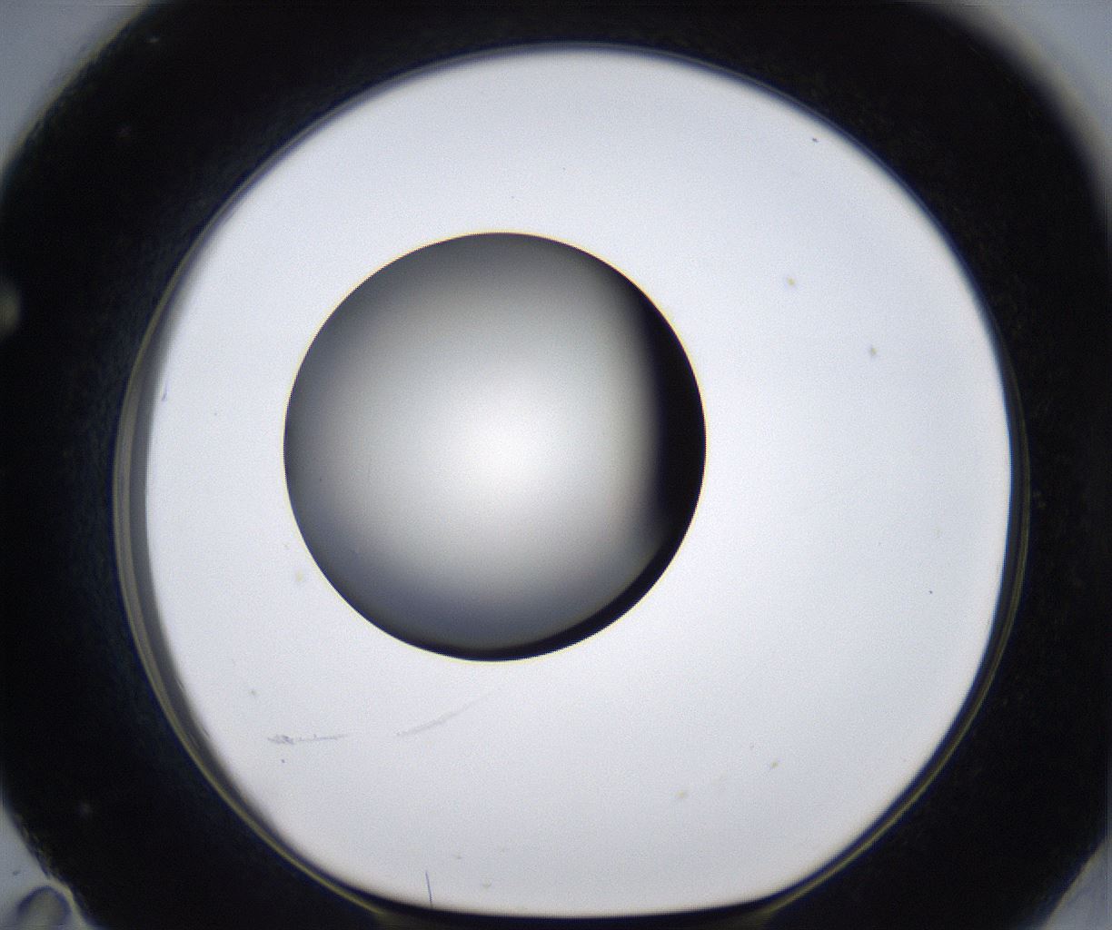 folderID283_plateID2283_batchID10811_wellNum71_profileID1_d1_r159668_ef.jpg