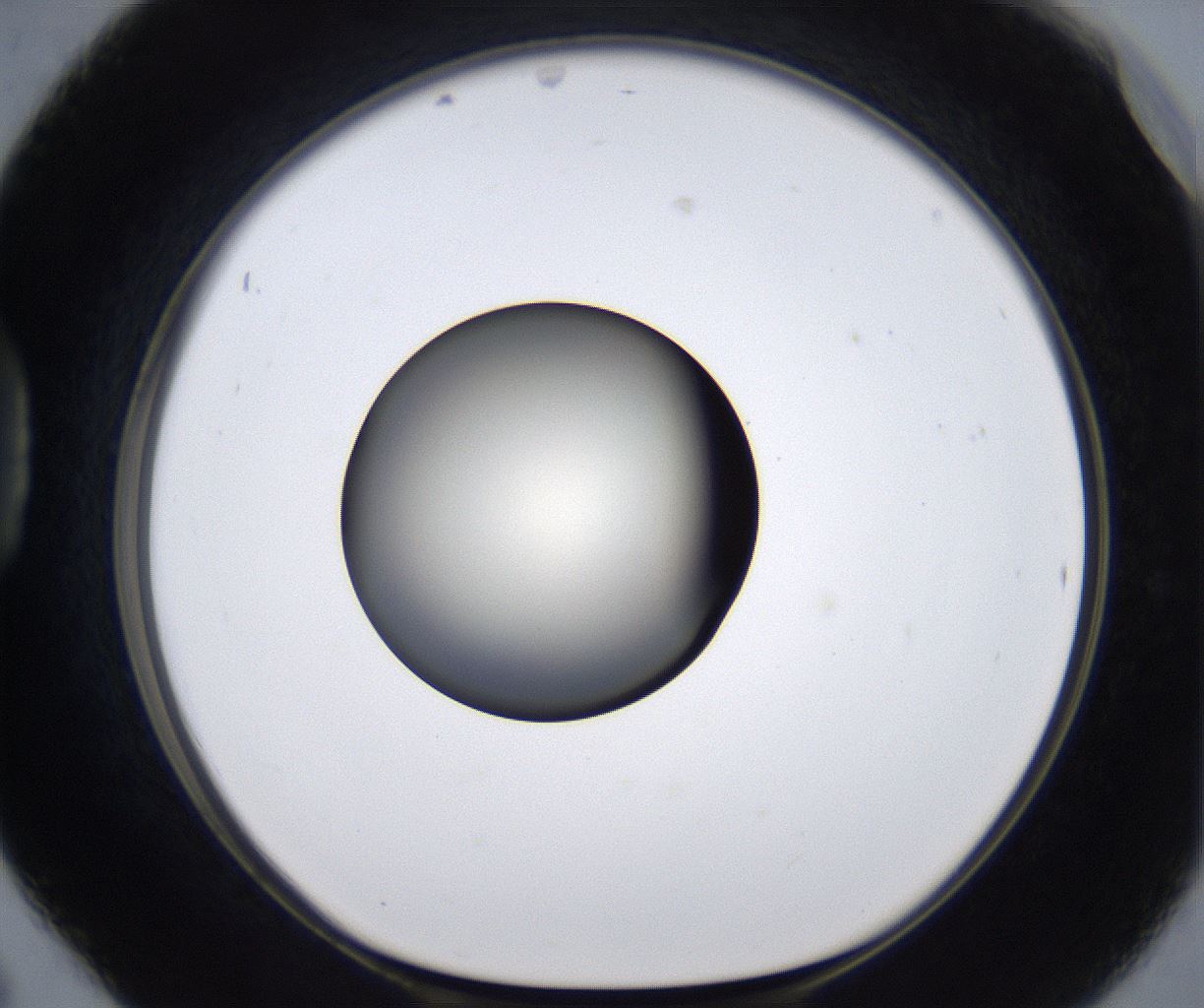 folderID283_plateID2283_batchID10811_wellNum42_profileID1_d1_r159639_ef.jpg