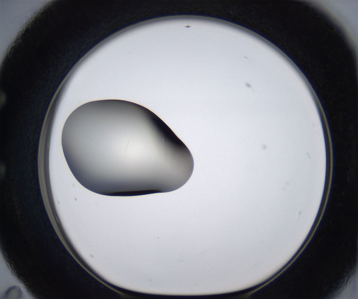 folderID283_plateID2283_batchID10811_wellNum59_profileID1_d1_r159656_ef.jpg