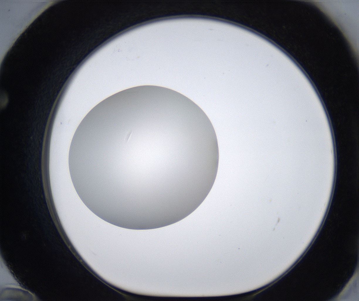 folderID283_plateID2283_batchID10811_wellNum72_profileID1_d1_r159669_ef.jpg