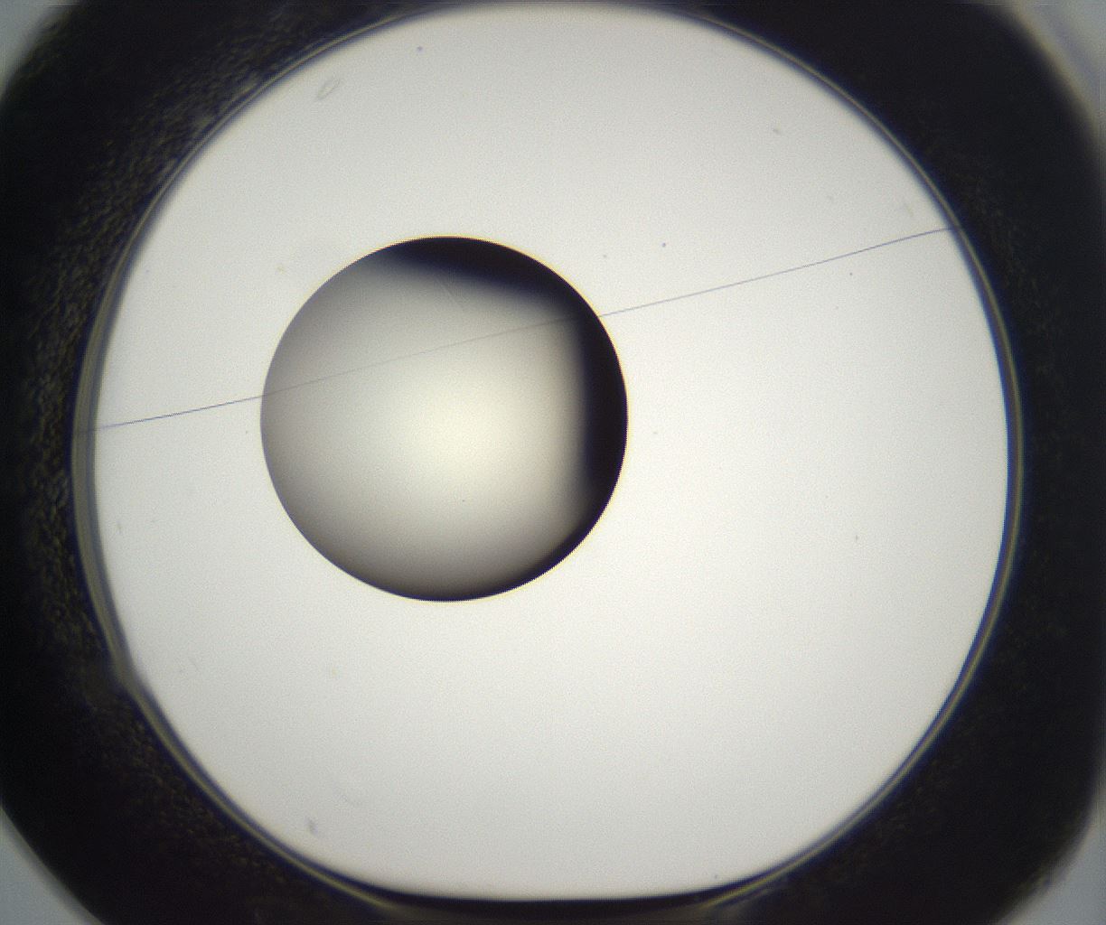 folderID284_plateID2284_batchID10838_wellNum25_profileID1_d1_r160294_ef.jpg