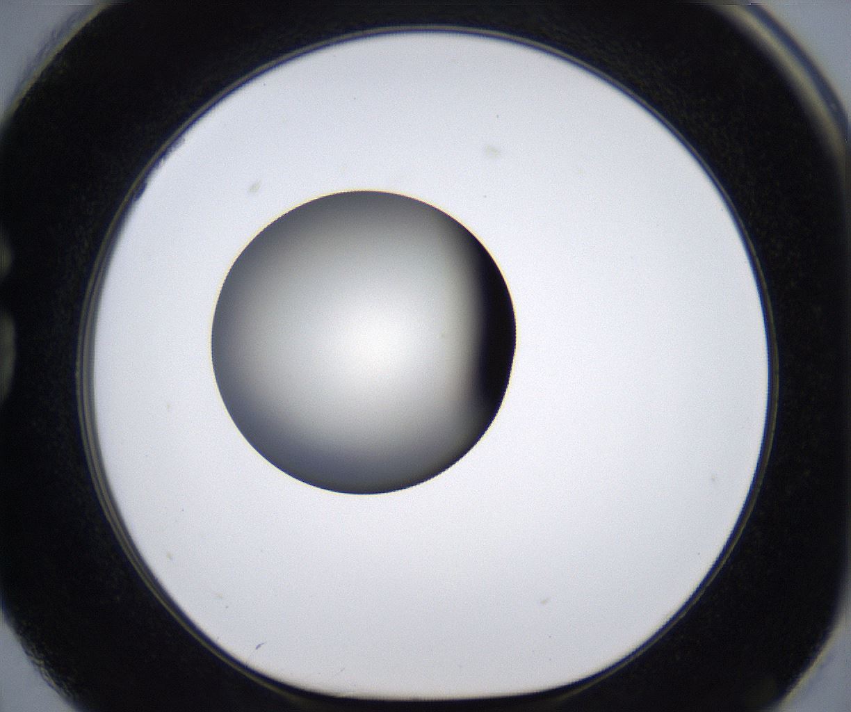 folderID283_plateID2283_batchID10811_wellNum74_profileID1_d1_r159671_ef.jpg