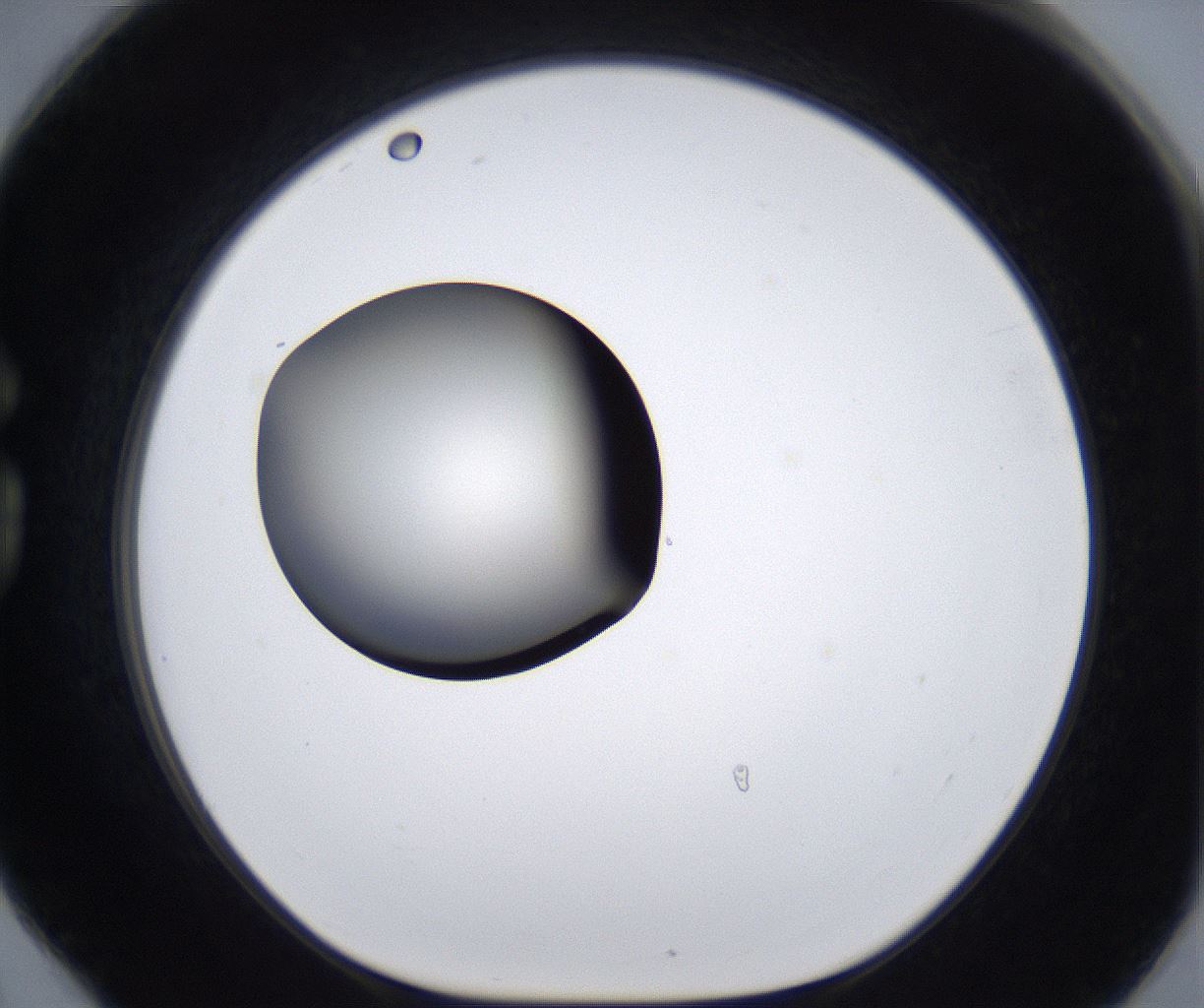 folderID283_plateID2283_batchID10811_wellNum78_profileID1_d1_r159675_ef.jpg