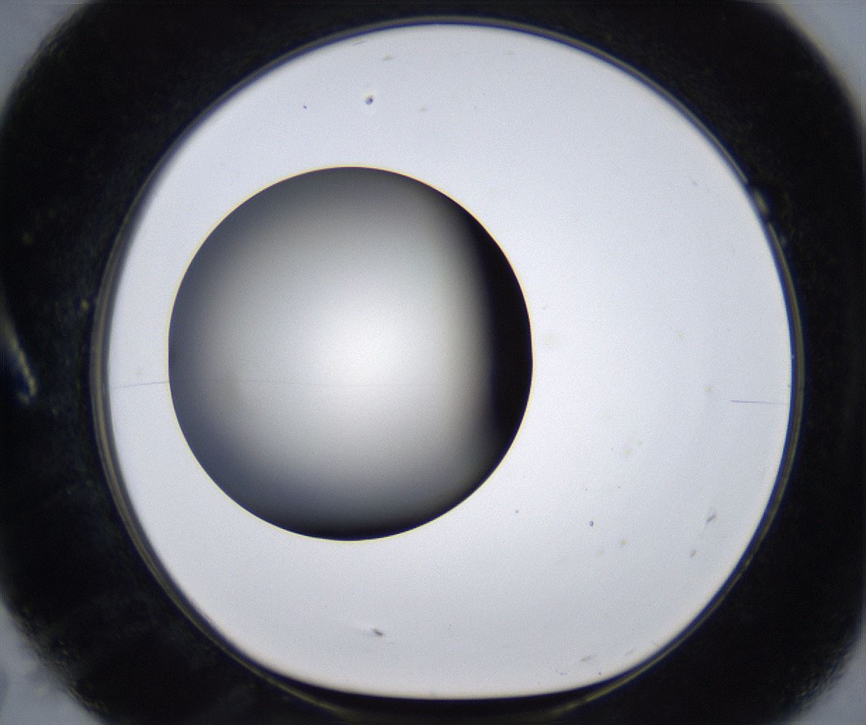 folderID283_plateID2283_batchID10811_wellNum7_profileID1_d1_r159604_ef.jpg