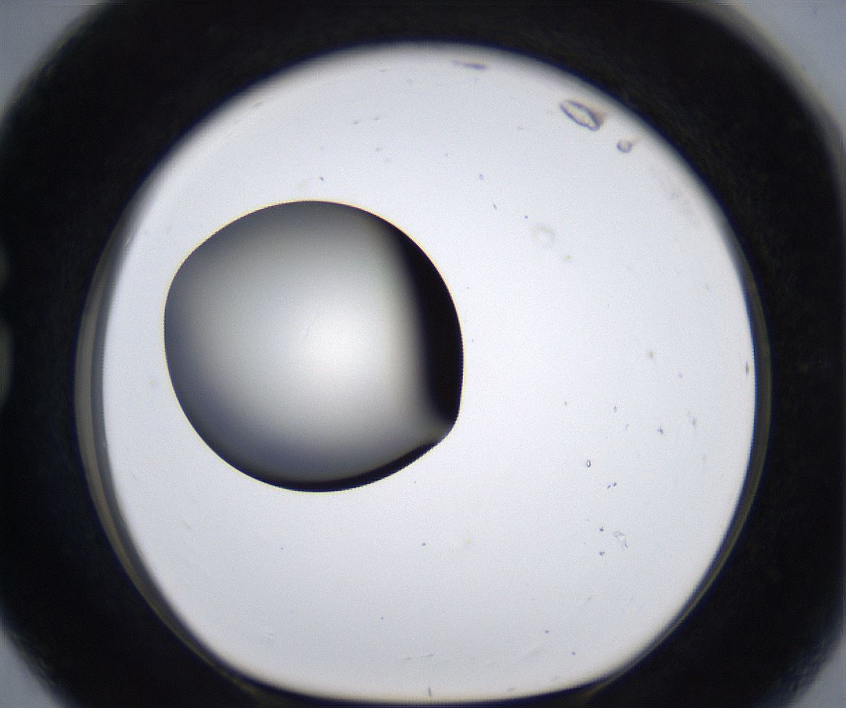 folderID283_plateID2283_batchID10811_wellNum80_profileID1_d1_r159677_ef.jpg