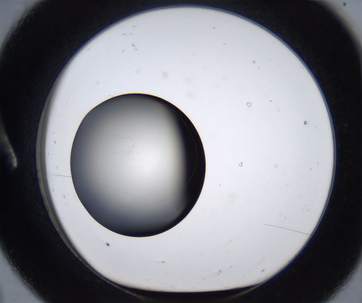 folderID283_plateID2283_batchID10811_wellNum8_profileID1_d1_r159605_ef.jpg