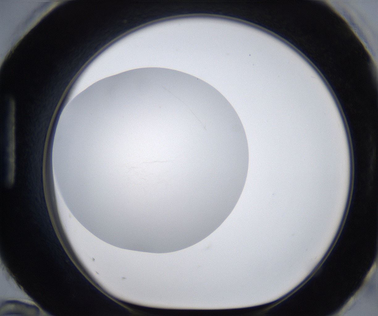 folderID283_plateID2283_batchID10811_wellNum96_profileID1_d1_r159693_ef.jpg
