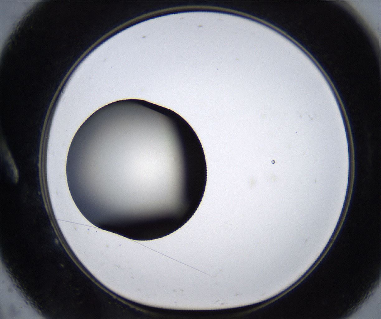 folderID283_plateID2283_batchID10811_wellNum9_profileID1_d1_r159606_ef.jpg