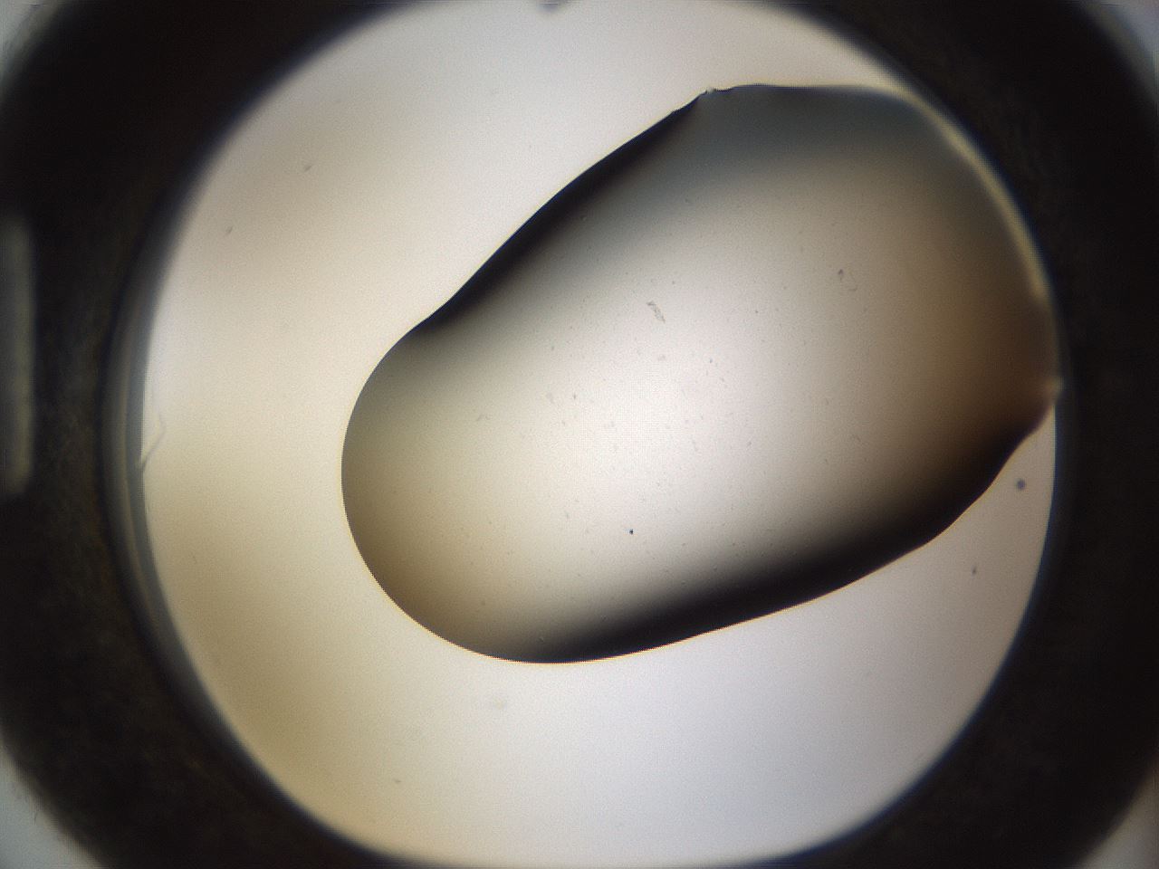 folderID284_plateID1284_batchID4265_wellNum90_profileID1_d1_r77169_ef.jpg
