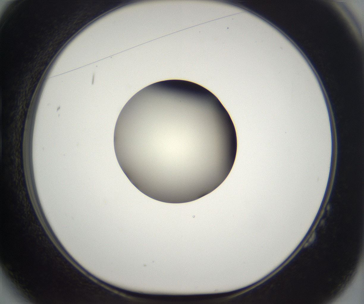 folderID284_plateID2284_batchID10838_wellNum14_profileID1_d1_r160283_ef.jpg