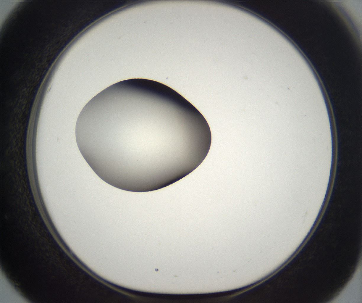 folderID284_plateID2284_batchID10838_wellNum51_profileID1_d1_r160320_ef.jpg