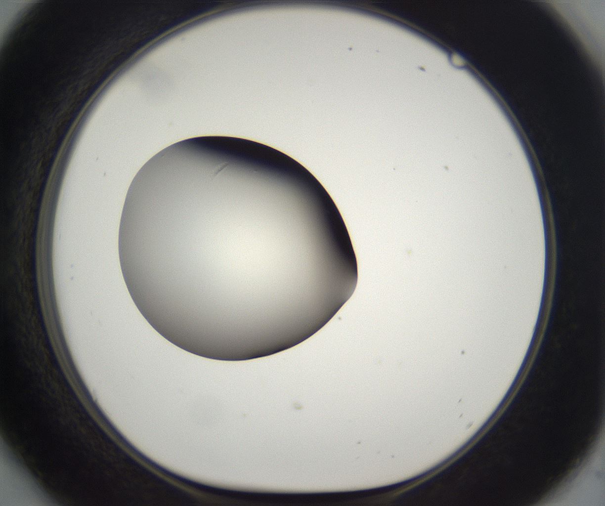 folderID284_plateID2284_batchID10838_wellNum54_profileID1_d1_r160323_ef.jpg