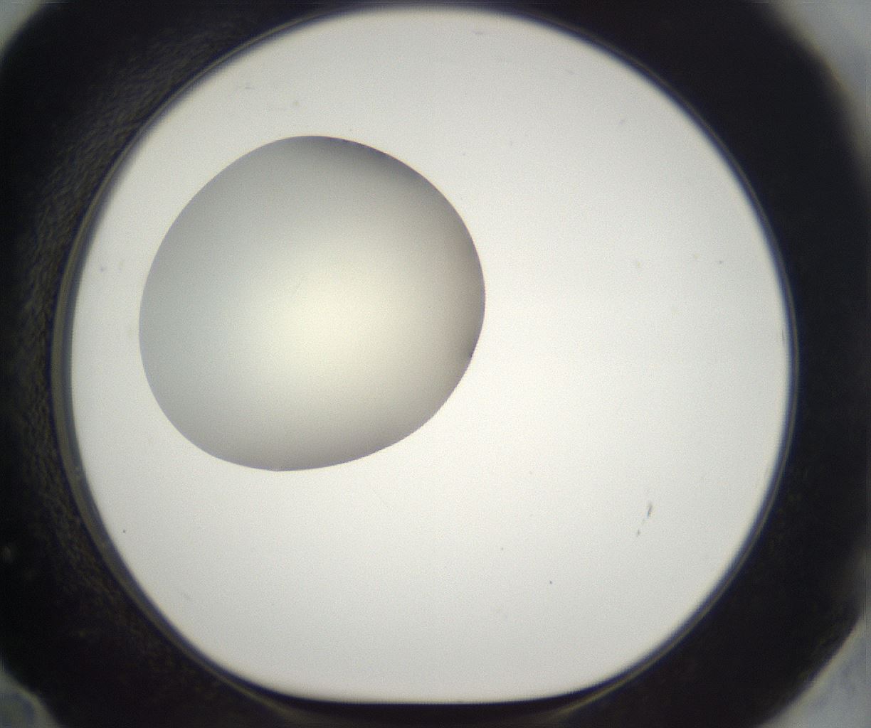 folderID284_plateID2284_batchID10838_wellNum72_profileID1_d1_r160341_ef.jpg