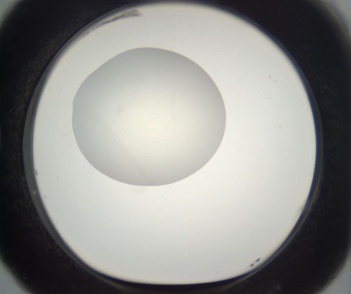 folderID284_plateID2284_batchID10838_wellNum77_profileID1_d1_r160346_ef.jpg