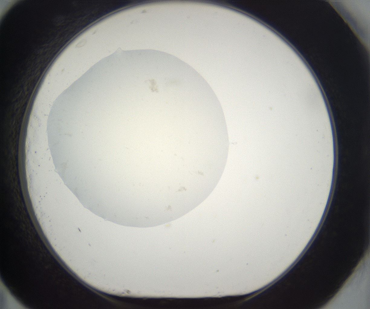 folderID284_plateID2284_batchID10838_wellNum83_profileID1_d1_r160352_ef.jpg