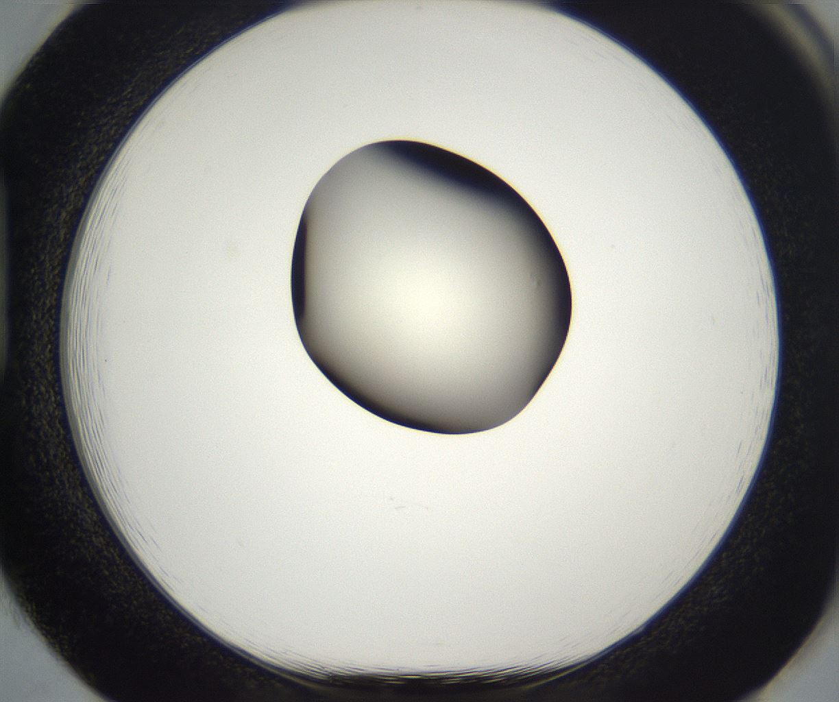 folderID284_plateID2284_batchID10838_wellNum85_profileID1_d1_r160354_ef.jpg