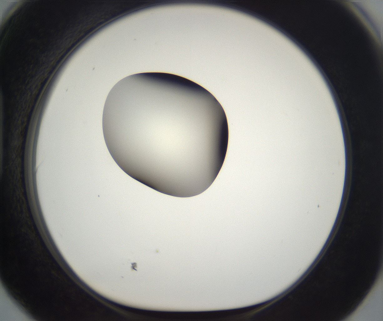 folderID284_plateID2284_batchID10838_wellNum90_profileID1_d1_r160359_ef.jpg