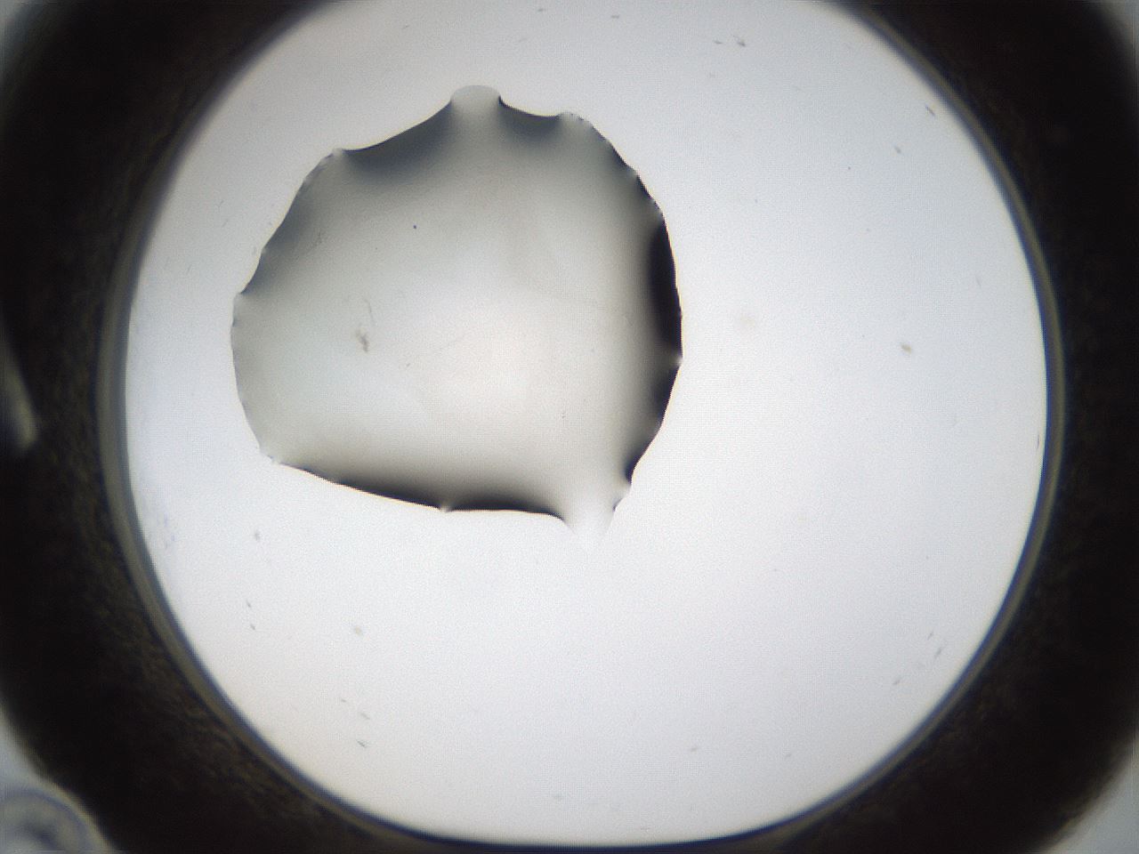 folderID285_plateID1285_batchID4276_wellNum10_profileID1_d1_r77377_ef.jpg