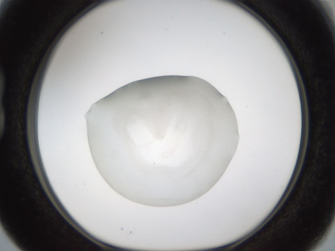 folderID285_plateID1285_batchID4276_wellNum15_profileID1_d1_r77382_ef.jpg