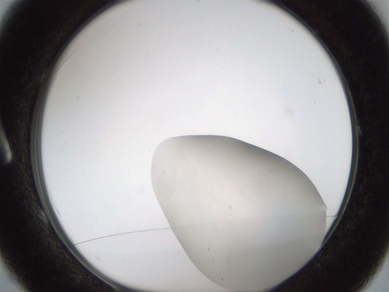 folderID285_plateID1285_batchID4276_wellNum1_profileID1_d1_r77368_ef.jpg