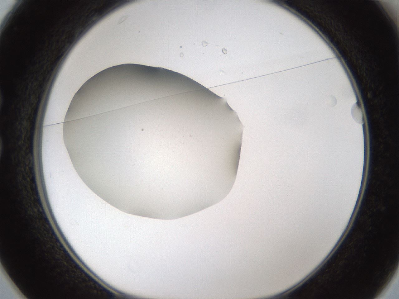 folderID285_plateID1285_batchID4276_wellNum25_profileID1_d1_r77392_ef.jpg