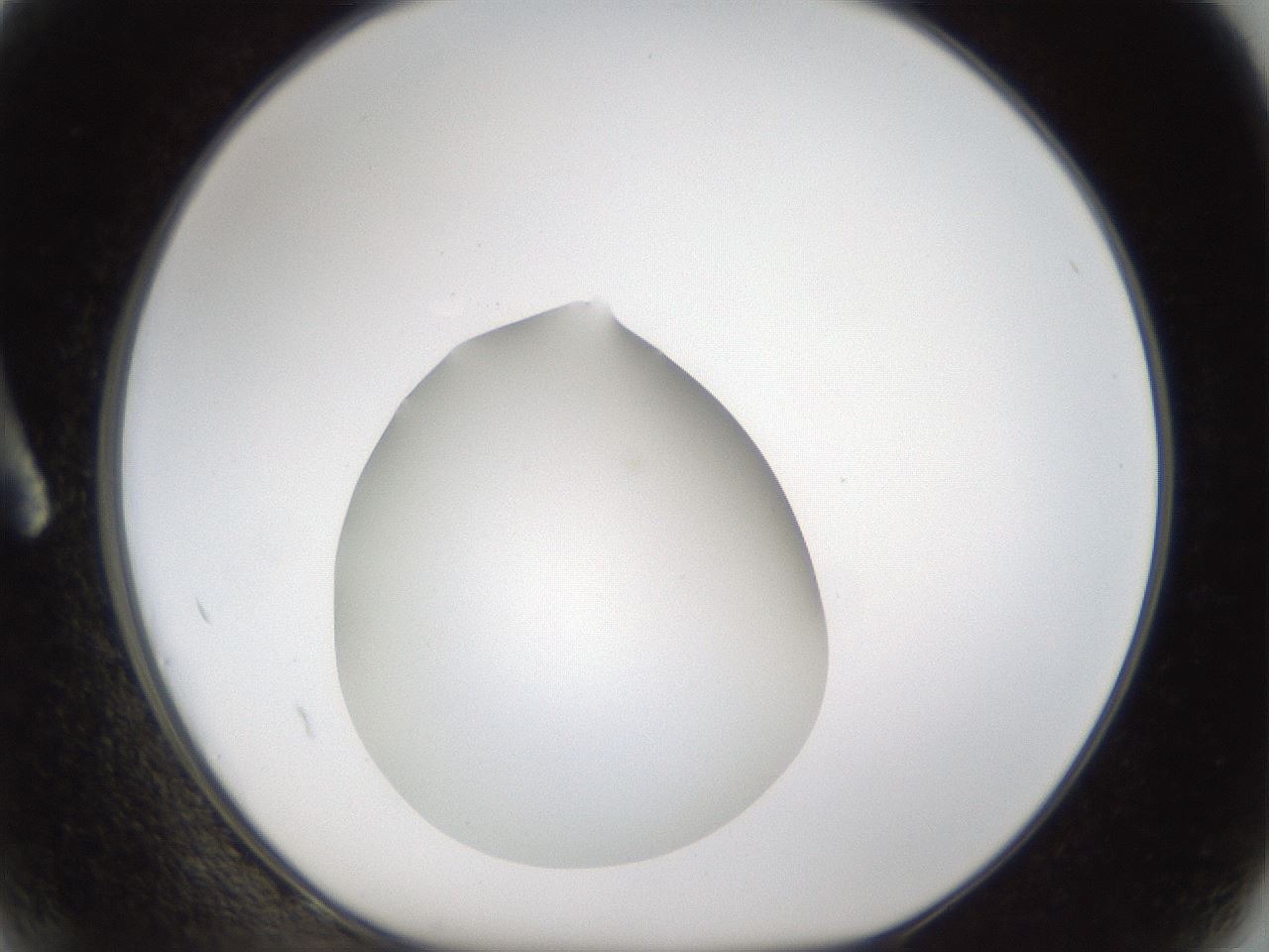 folderID285_plateID1285_batchID4276_wellNum2_profileID1_d1_r77369_ef.jpg