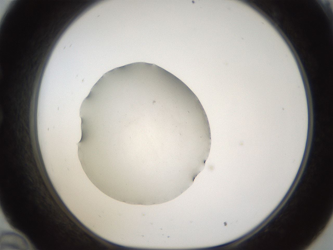 folderID285_plateID1285_batchID4276_wellNum34_profileID1_d1_r77401_ef.jpg