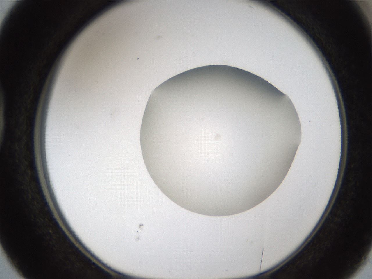 folderID285_plateID1285_batchID4276_wellNum38_profileID1_d1_r77405_ef.jpg