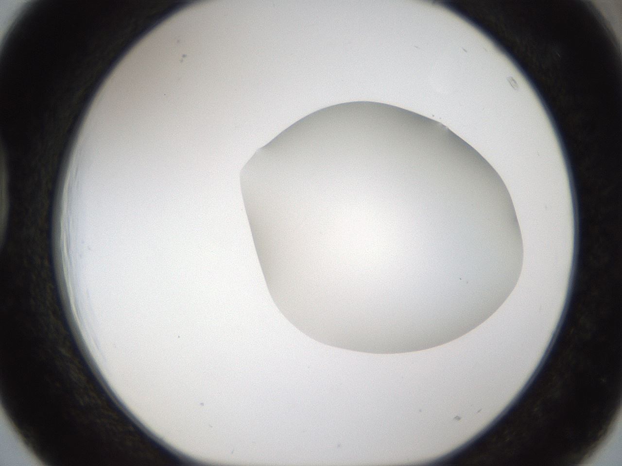 folderID285_plateID1285_batchID4276_wellNum39_profileID1_d1_r77406_ef.jpg