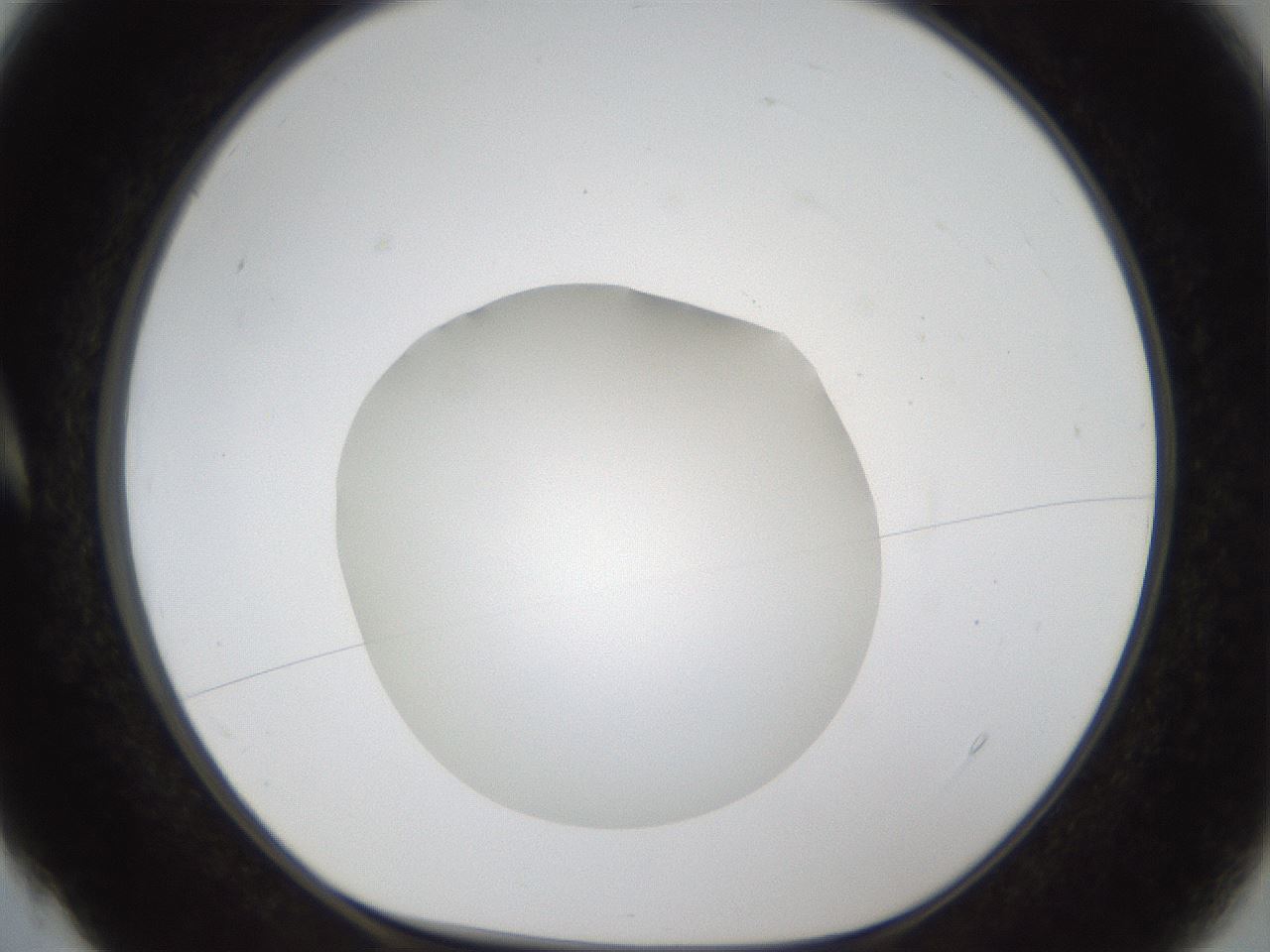 folderID285_plateID1285_batchID4276_wellNum4_profileID1_d1_r77371_ef.jpg