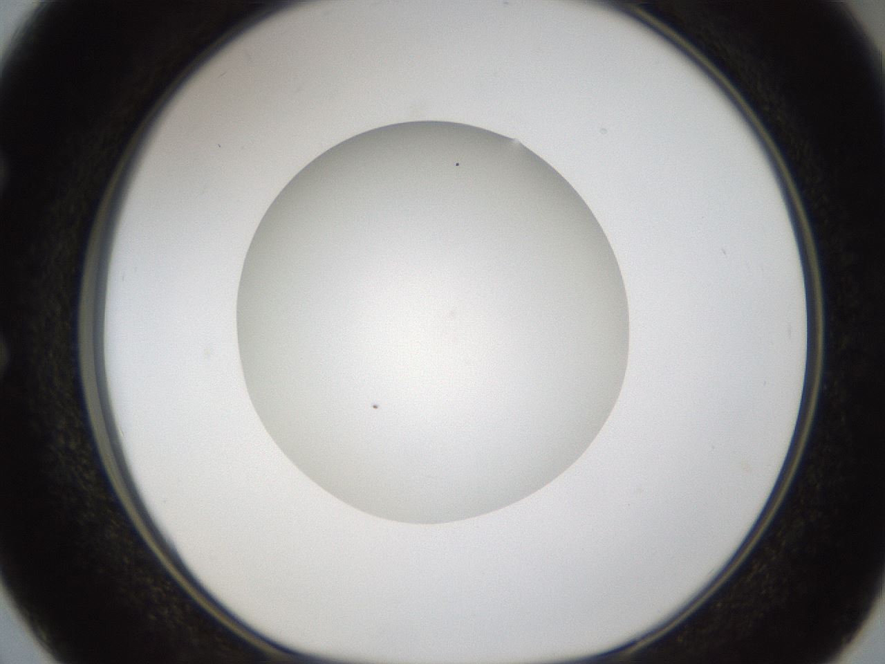 folderID285_plateID1285_batchID4276_wellNum50_profileID1_d1_r77417_ef.jpg