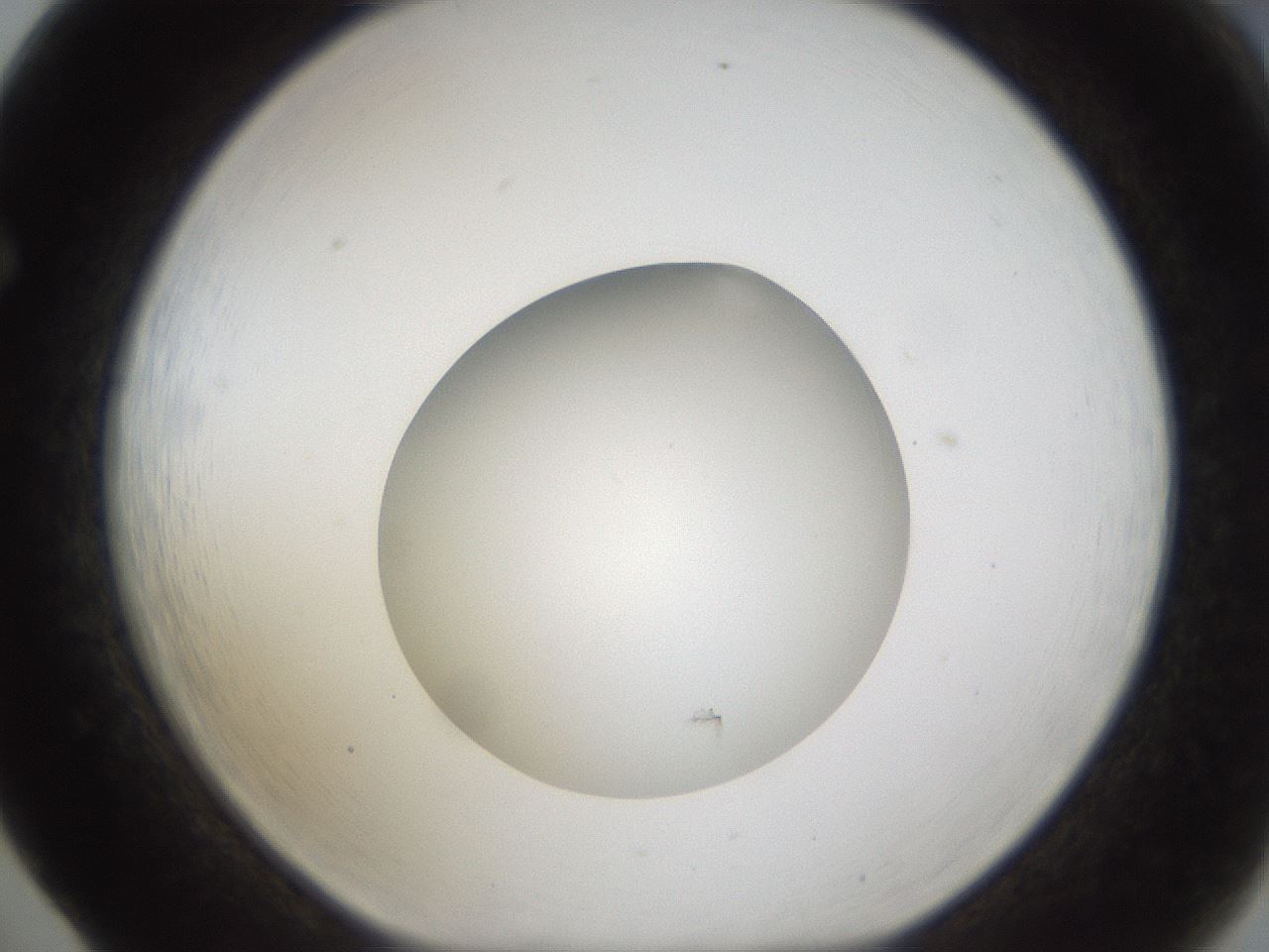 folderID285_plateID1285_batchID4276_wellNum65_profileID1_d1_r77432_ef.jpg