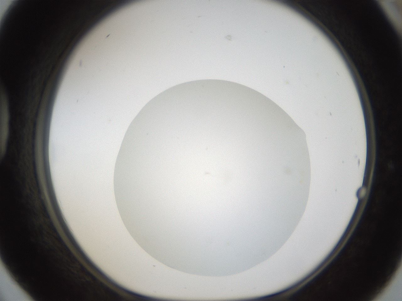 folderID285_plateID1285_batchID4276_wellNum42_profileID1_d1_r77409_ef.jpg