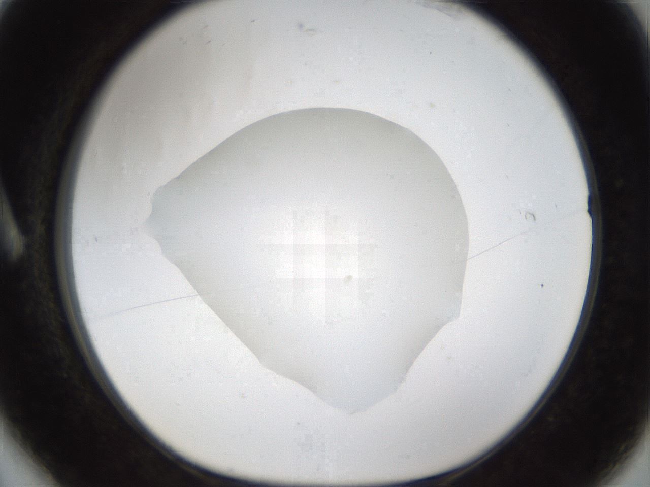 folderID285_plateID1285_batchID4276_wellNum6_profileID1_d1_r77373_ef.jpg