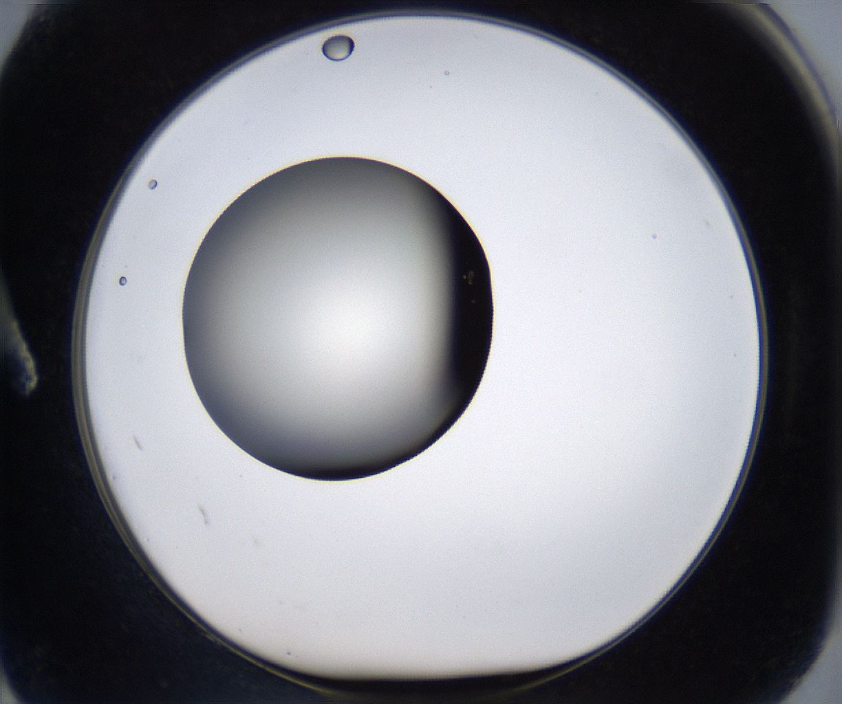 folderID285_plateID2285_batchID10813_wellNum2_profileID1_d1_r159695_ef.jpg