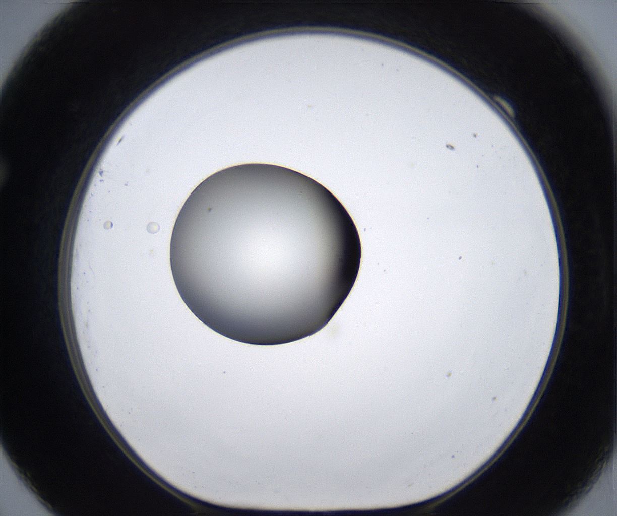 folderID285_plateID2285_batchID10813_wellNum69_profileID1_d1_r159762_ef.jpg