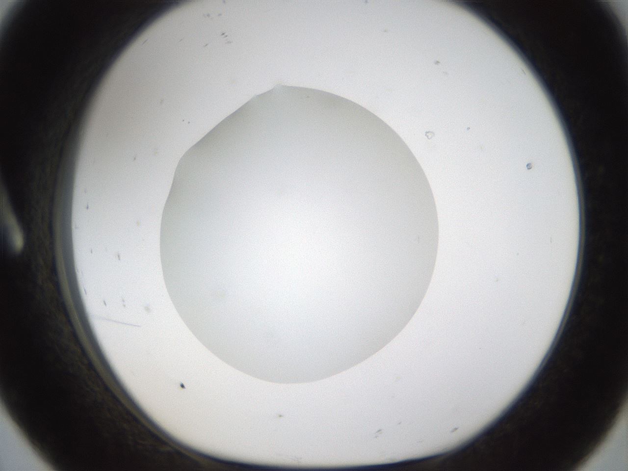 folderID285_plateID1285_batchID4276_wellNum8_profileID1_d1_r77375_ef.jpg