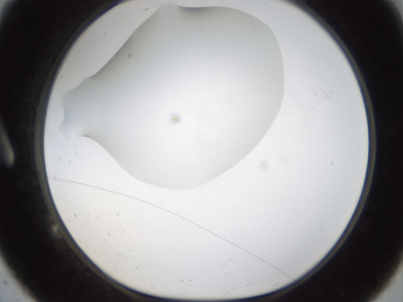 folderID285_plateID1285_batchID4276_wellNum9_profileID1_d1_r77376_ef.jpg