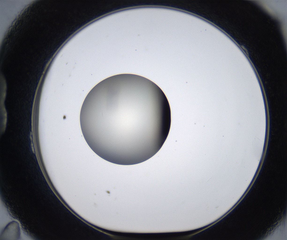 folderID285_plateID2285_batchID10813_wellNum23_profileID1_d1_r159716_ef.jpg