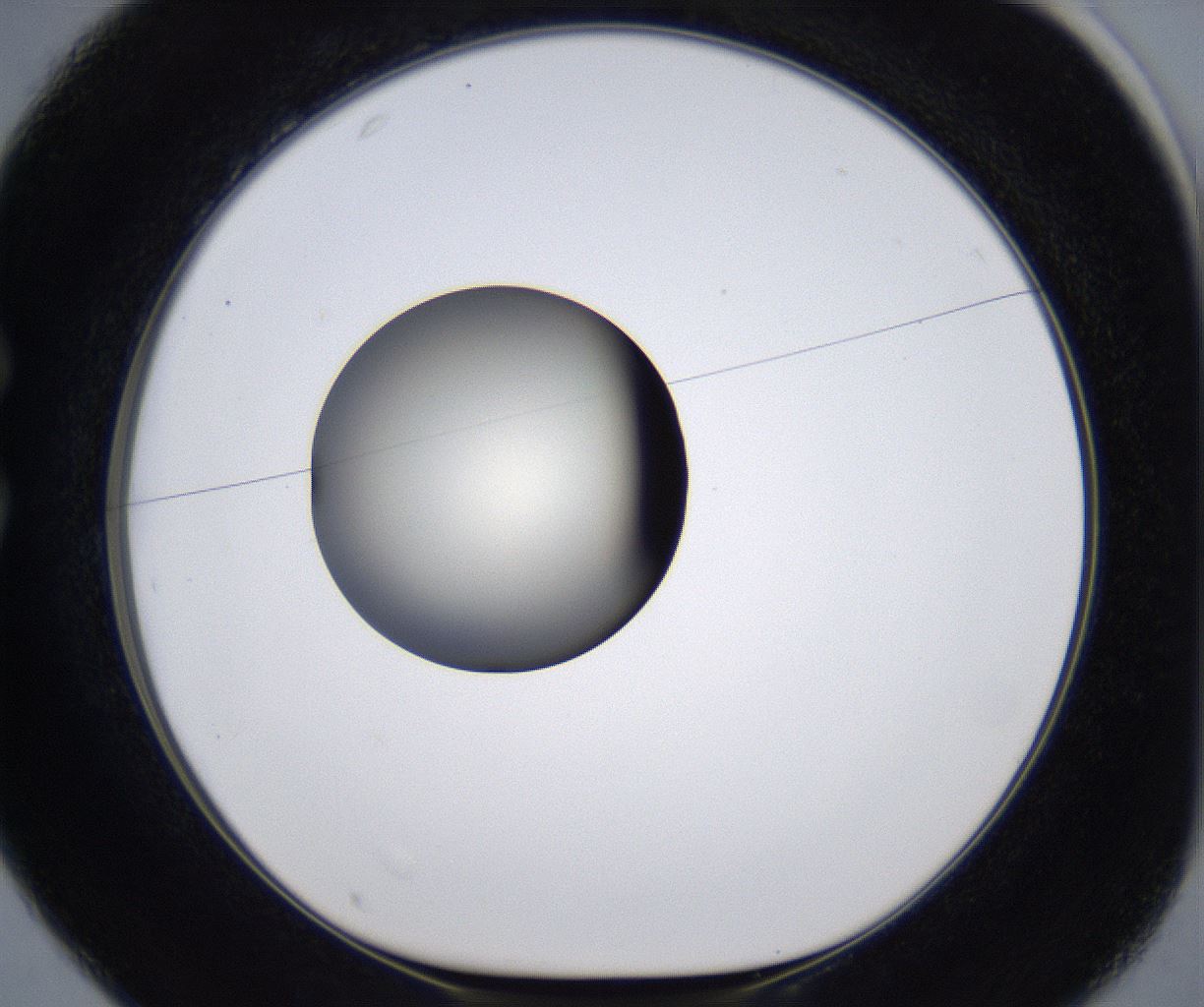folderID285_plateID2285_batchID10813_wellNum25_profileID1_d1_r159718_ef.jpg