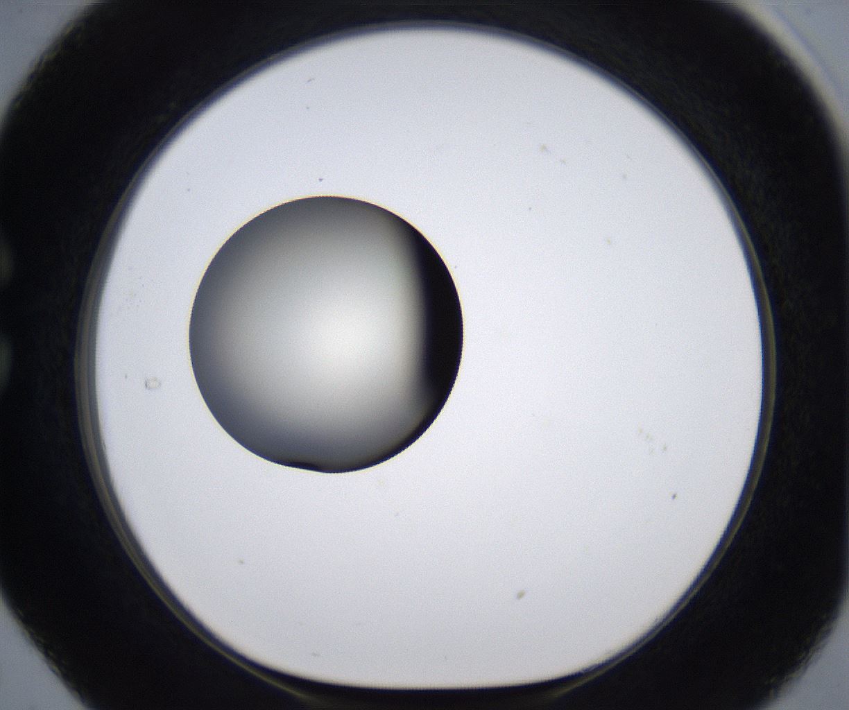 folderID285_plateID2285_batchID10813_wellNum29_profileID1_d1_r159722_ef.jpg