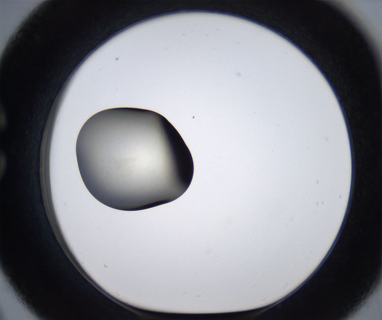 folderID285_plateID2285_batchID10813_wellNum33_profileID1_d1_r159726_ef.jpg