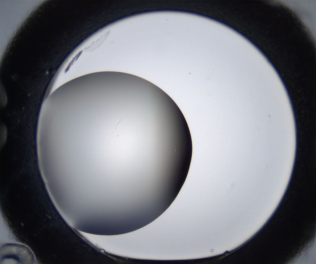 folderID285_plateID2285_batchID10813_wellNum36_profileID1_d1_r159729_ef.jpg