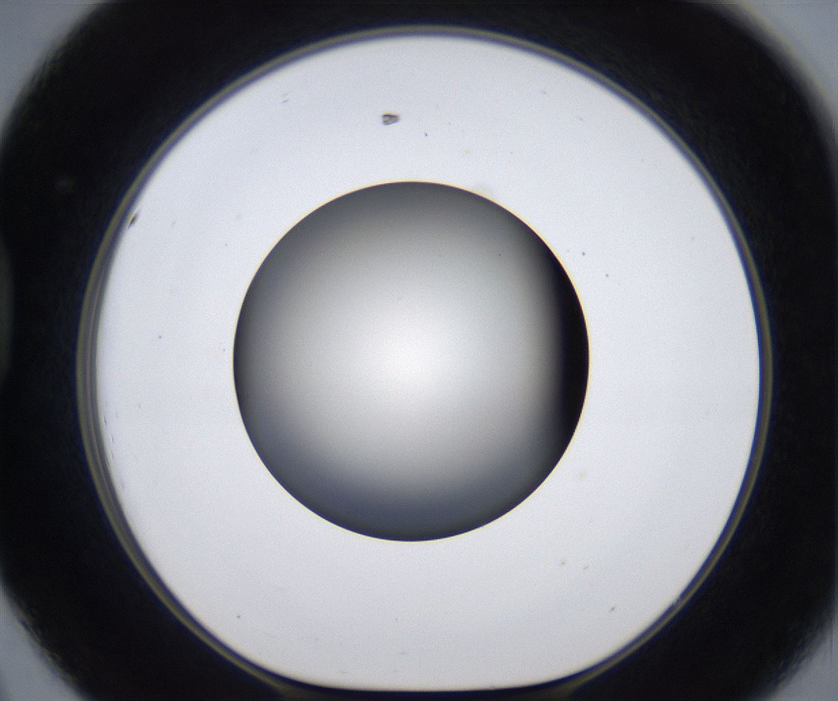 folderID285_plateID2285_batchID10813_wellNum44_profileID1_d1_r159737_ef.jpg