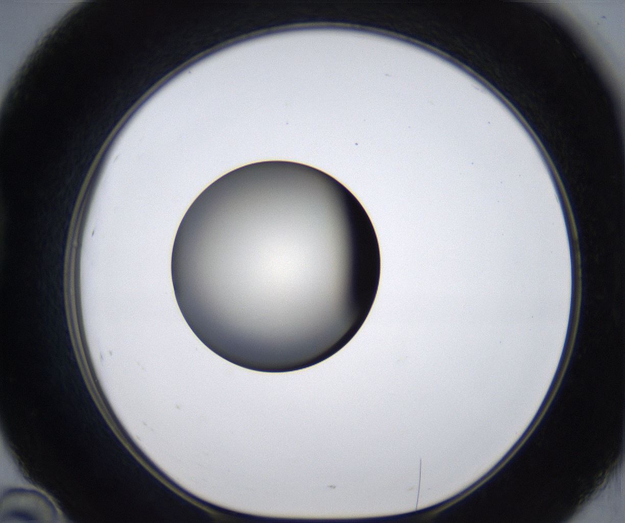 folderID285_plateID2285_batchID10813_wellNum46_profileID1_d1_r159739_ef.jpg