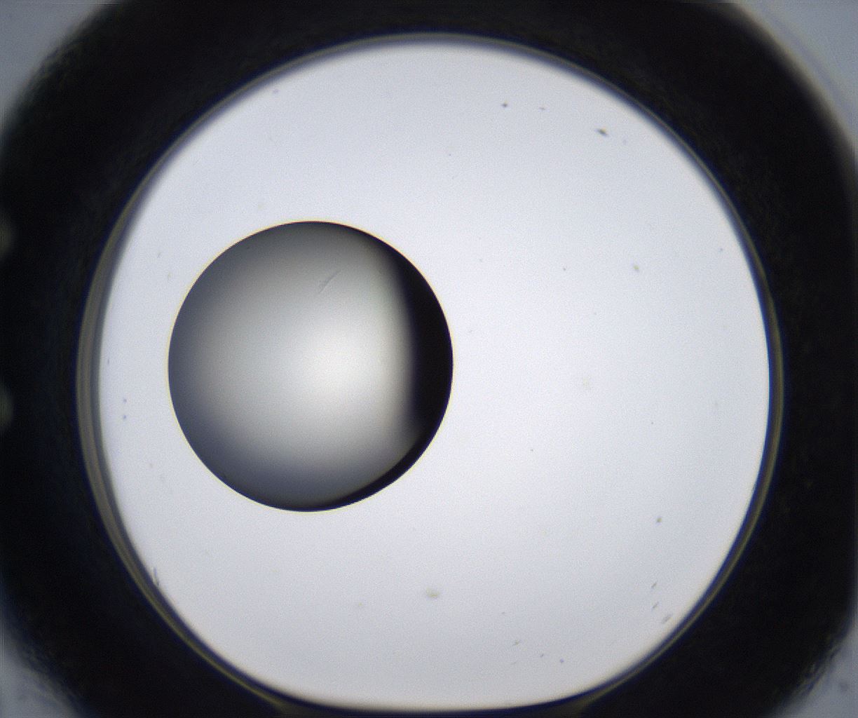 folderID285_plateID2285_batchID10813_wellNum54_profileID1_d1_r159747_ef.jpg