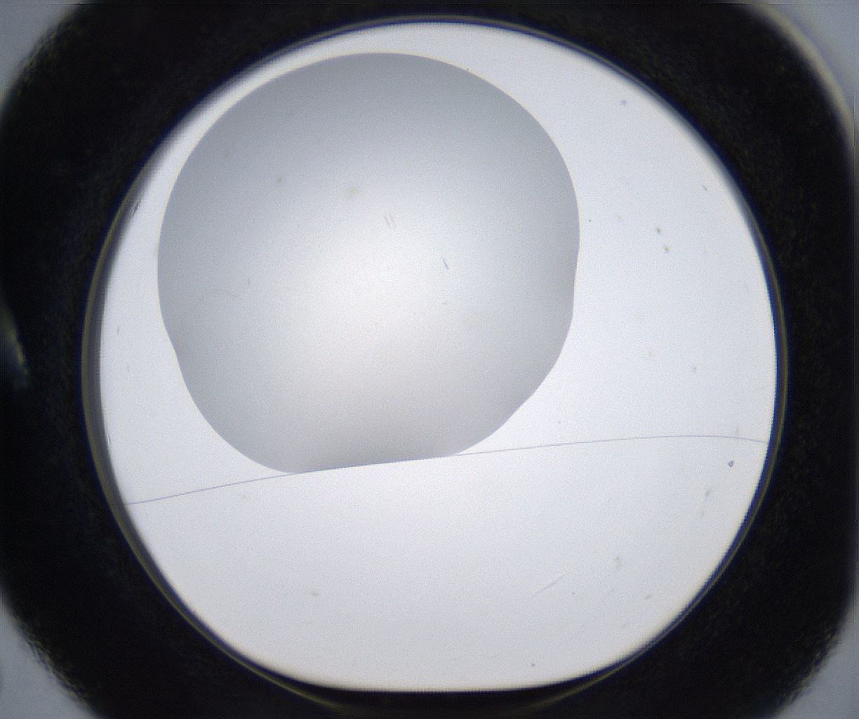 folderID285_plateID2285_batchID10813_wellNum5_profileID1_d1_r159698_ef.jpg